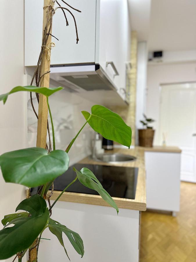 באטומי Apartment מראה חיצוני תמונה
